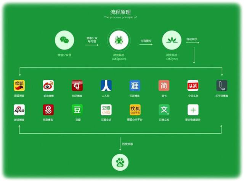 新媒体运营：在信息海洋中捕捞钻石